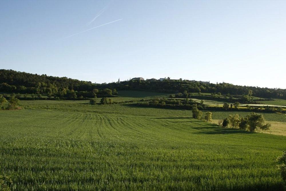 Masia Cal Millas - Turisme Rural Castellfullit de Riubregos Esterno foto