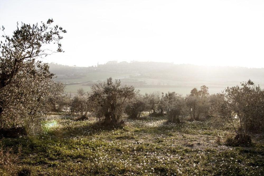 Masia Cal Millas - Turisme Rural Castellfullit de Riubregos Esterno foto