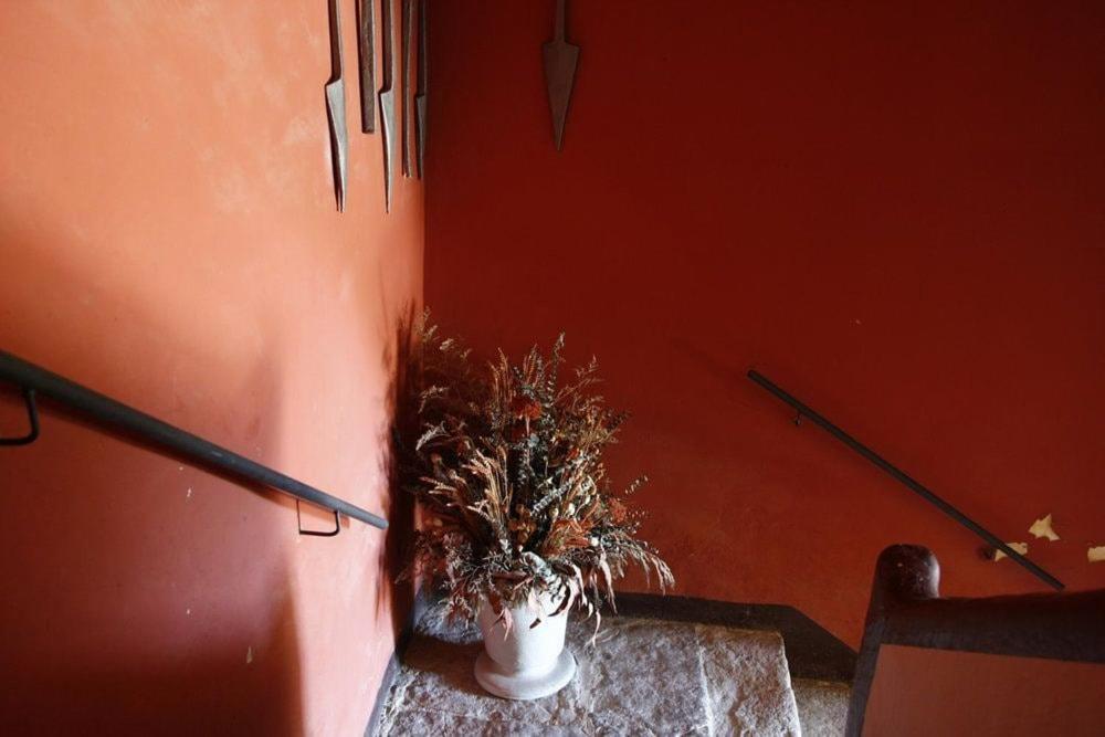 Masia Cal Millas - Turisme Rural Castellfullit de Riubregos Esterno foto